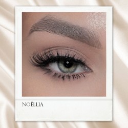 Noëllia Lashes